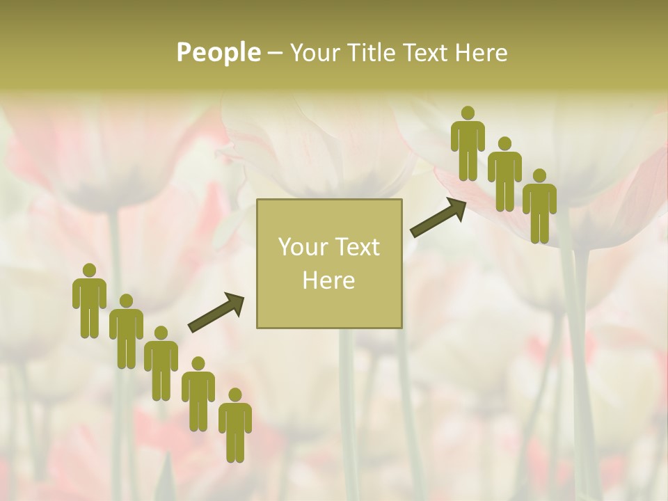 Close-Up Color Tulips - Selective Focus PowerPoint Template