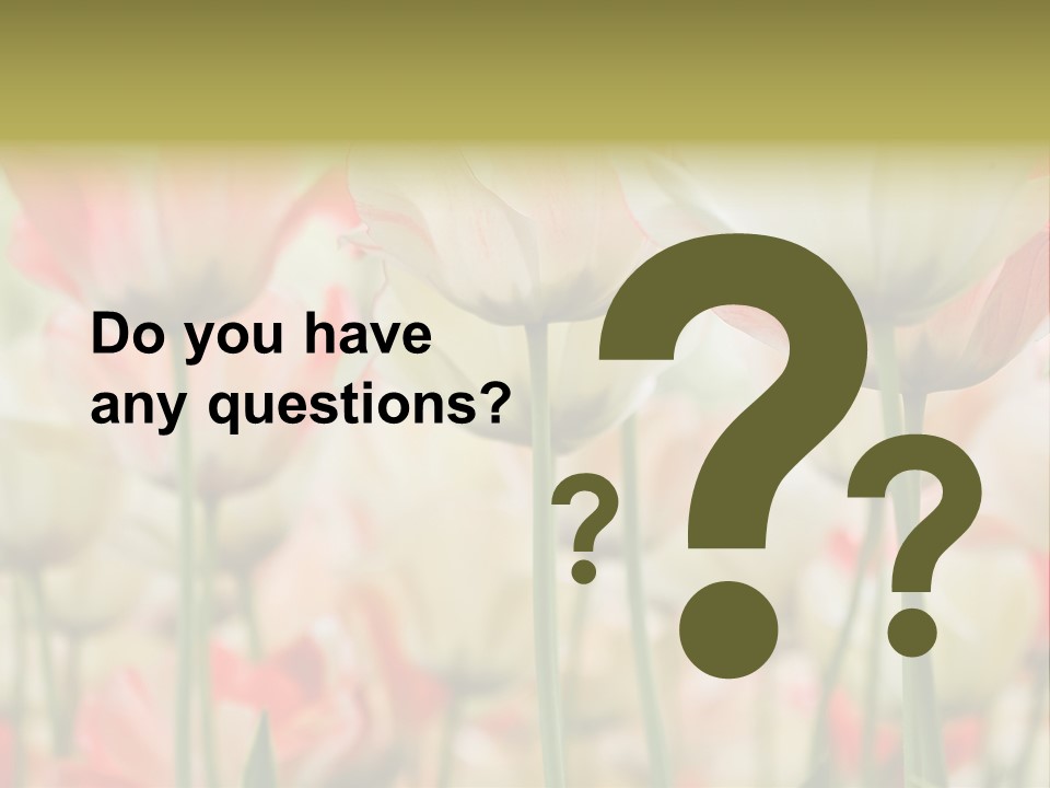 Close-Up Color Tulips - Selective Focus PowerPoint Template