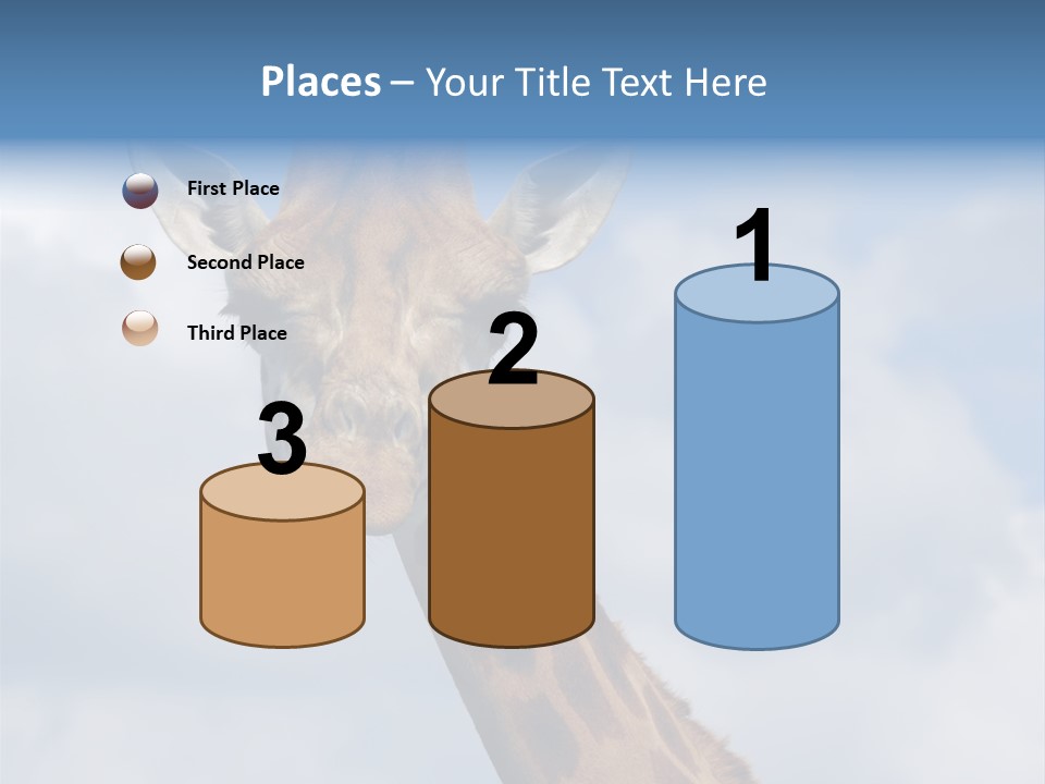 Close-Up Of A Funny Giraffe PowerPoint Template