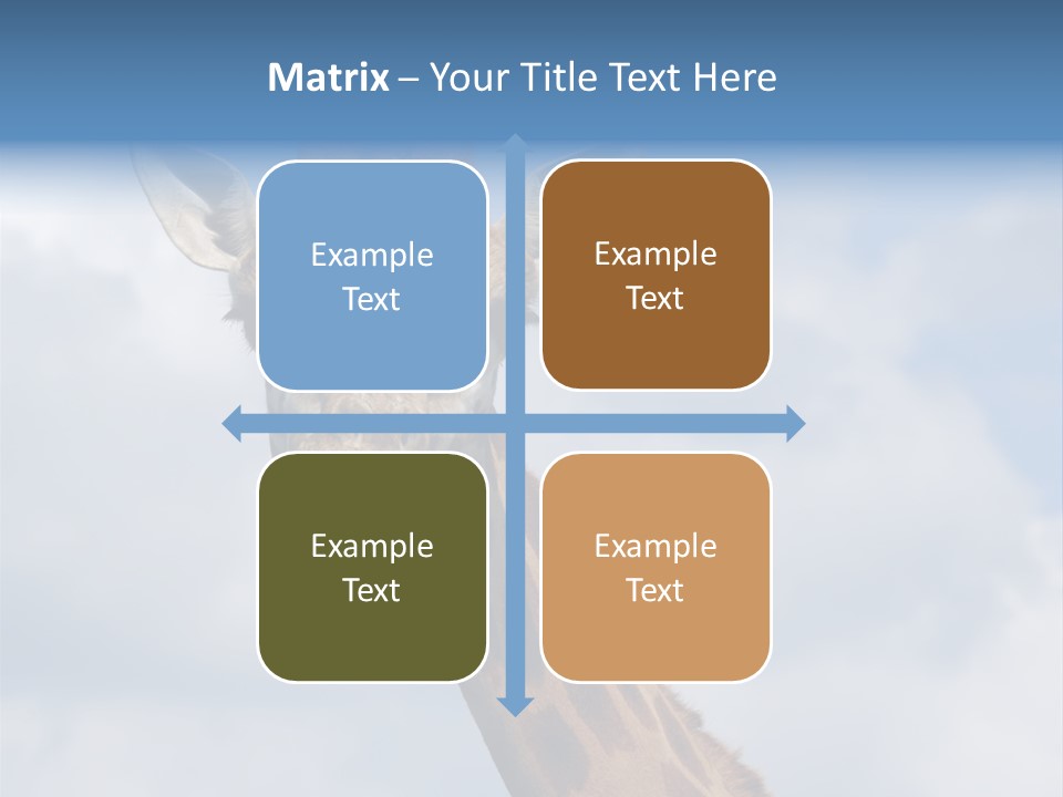 Close-Up Of A Funny Giraffe PowerPoint Template