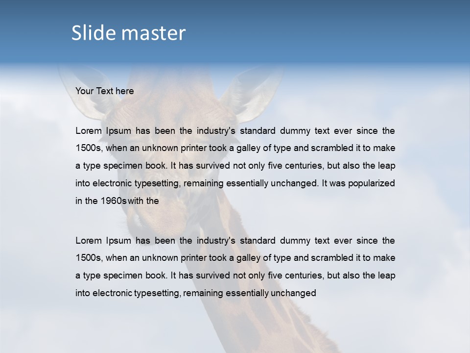 Close-Up Of A Funny Giraffe PowerPoint Template