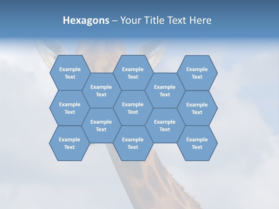 Close-Up Of A Funny Giraffe PowerPoint Template