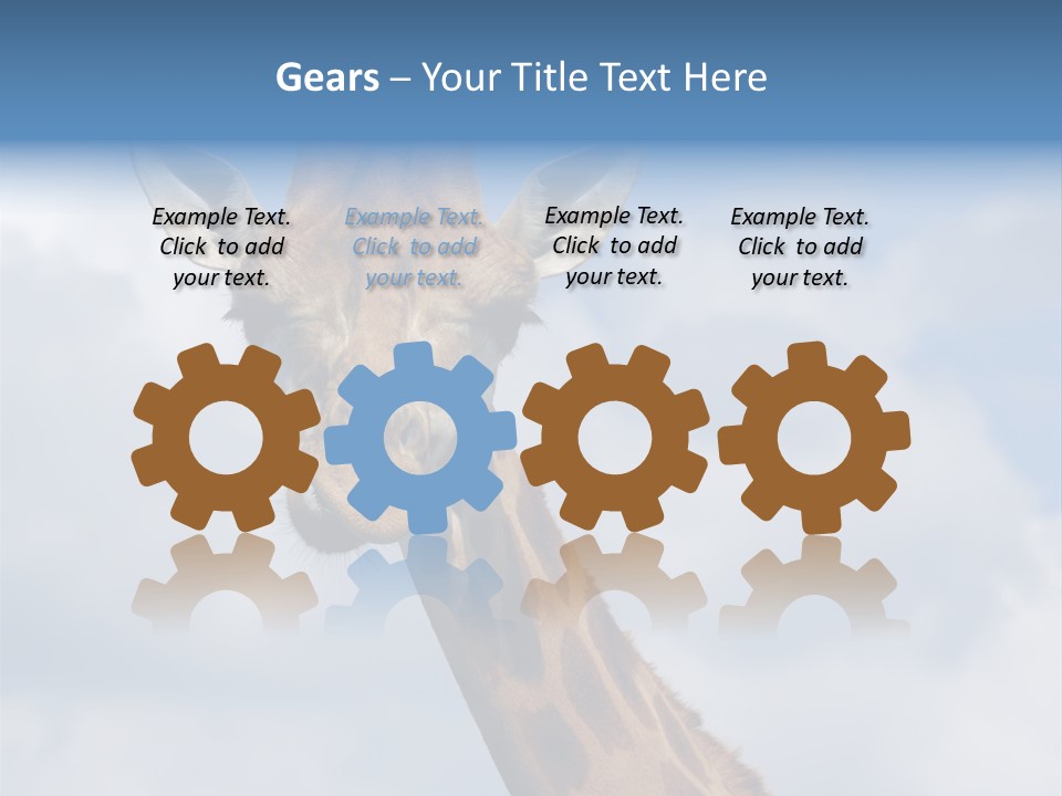 Close-Up Of A Funny Giraffe PowerPoint Template