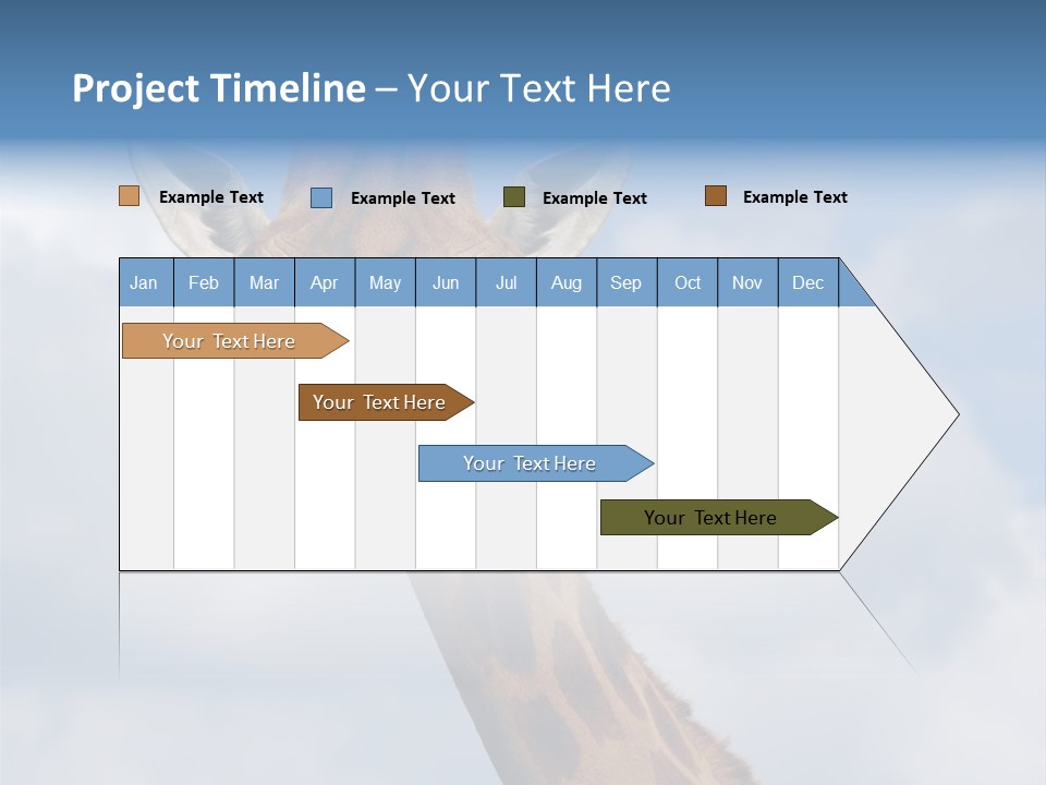 Close-Up Of A Funny Giraffe PowerPoint Template