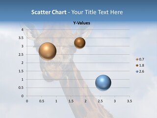 Close-Up Of A Funny Giraffe PowerPoint Template