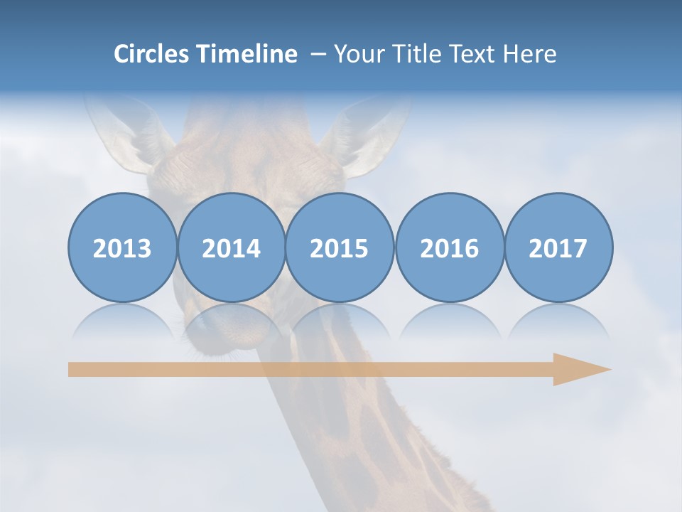 Close-Up Of A Funny Giraffe PowerPoint Template