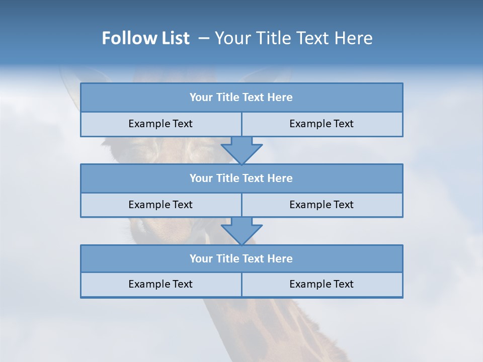 Close-Up Of A Funny Giraffe PowerPoint Template
