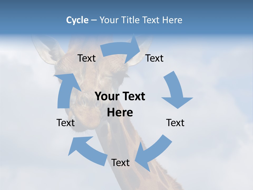 Close-Up Of A Funny Giraffe PowerPoint Template