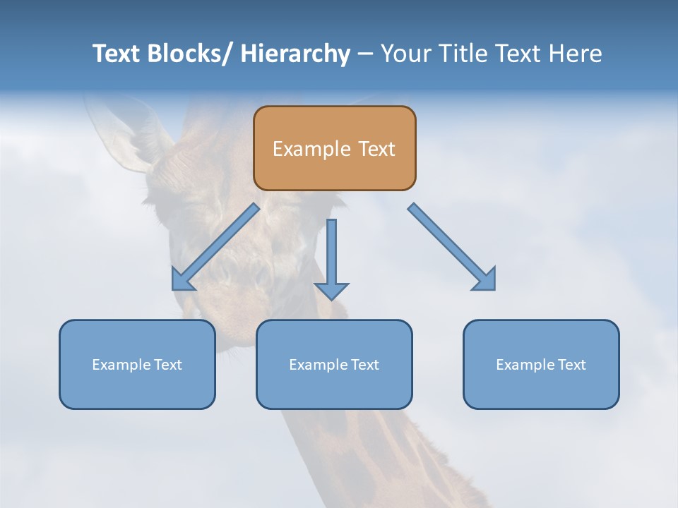 Close-Up Of A Funny Giraffe PowerPoint Template
