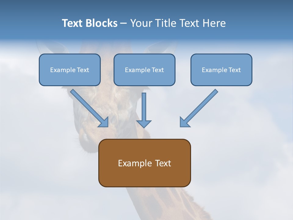 Close-Up Of A Funny Giraffe PowerPoint Template
