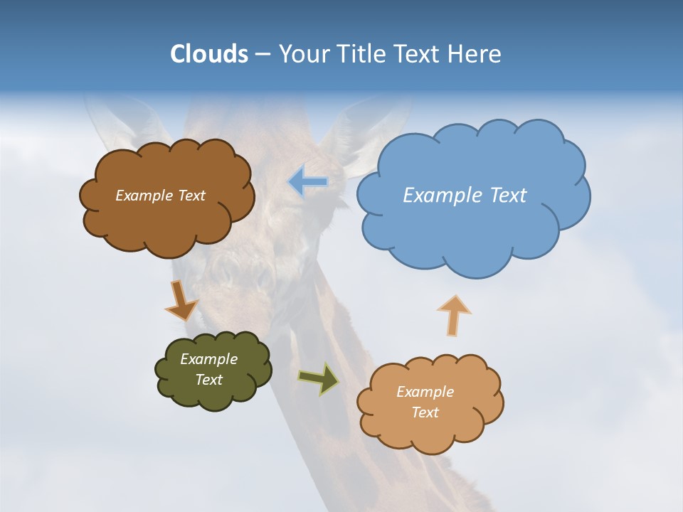 Close-Up Of A Funny Giraffe PowerPoint Template