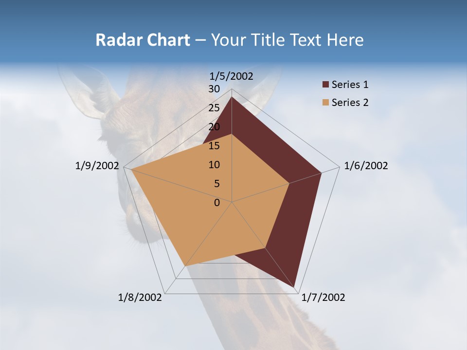 Close-Up Of A Funny Giraffe PowerPoint Template
