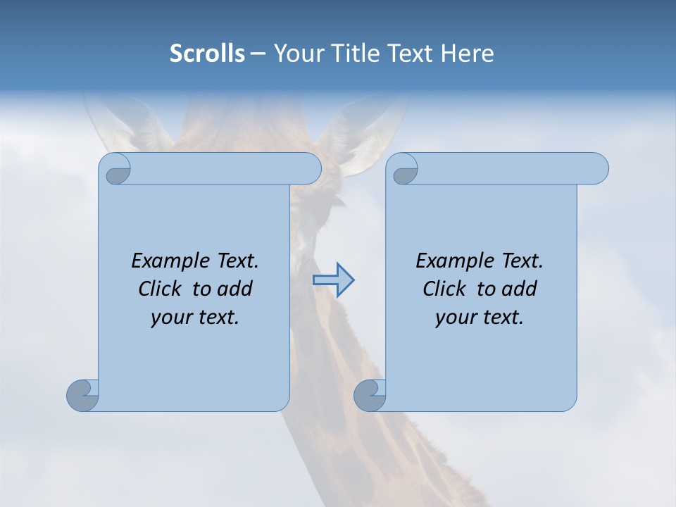 Close-Up Of A Funny Giraffe PowerPoint Template