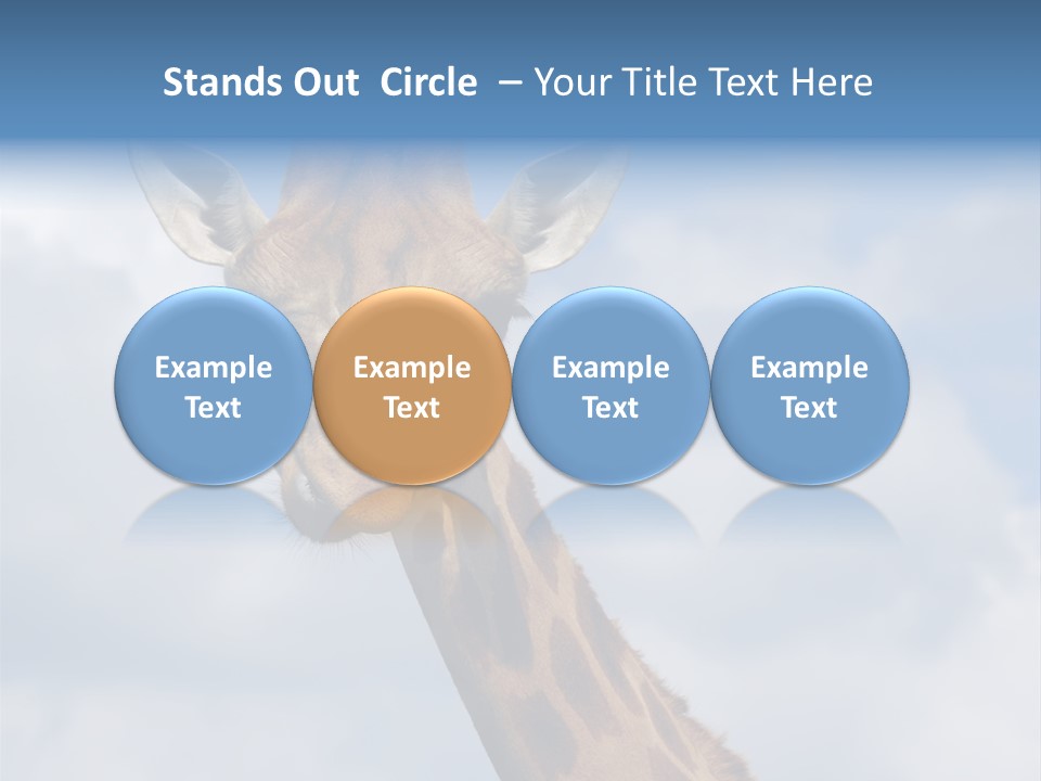 Close-Up Of A Funny Giraffe PowerPoint Template