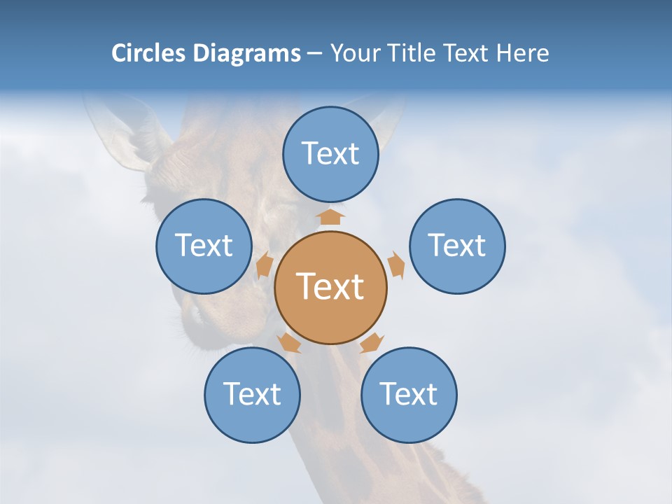 Close-Up Of A Funny Giraffe PowerPoint Template