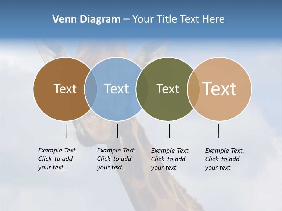 Close-Up Of A Funny Giraffe PowerPoint Template
