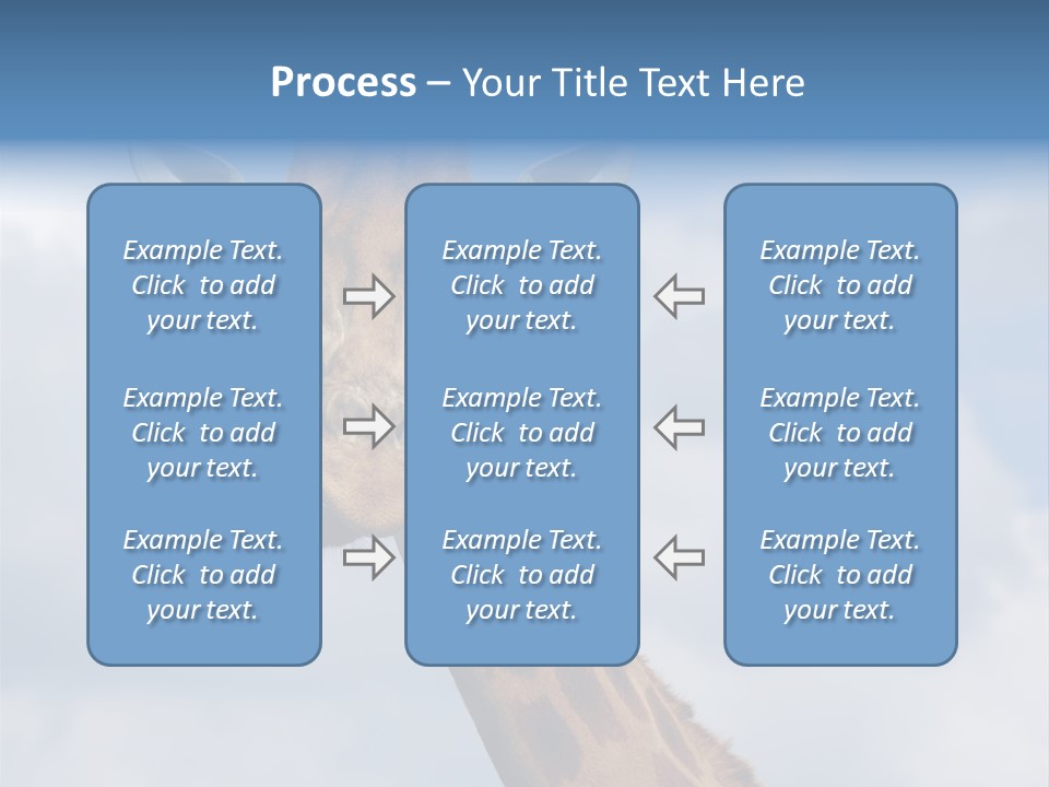 Close-Up Of A Funny Giraffe PowerPoint Template