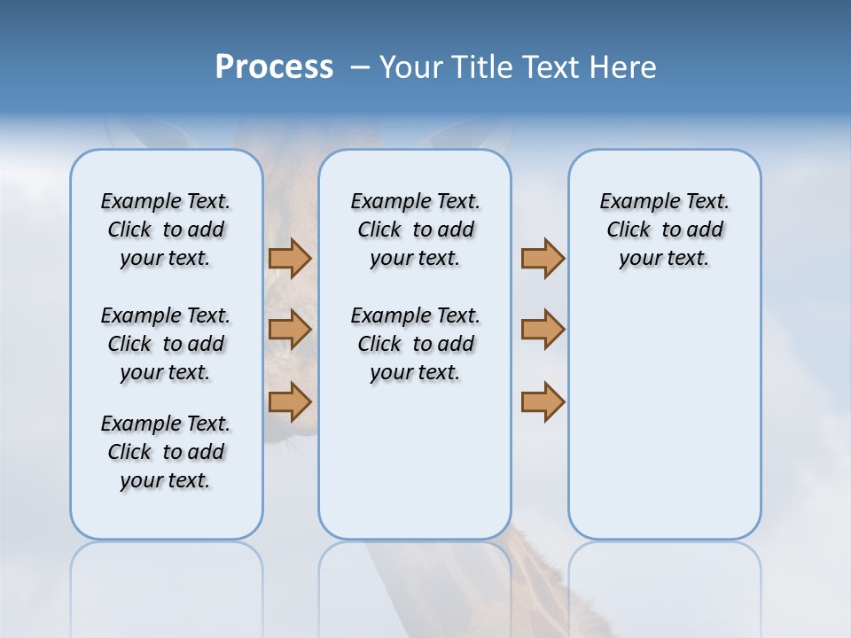 Close-Up Of A Funny Giraffe PowerPoint Template
