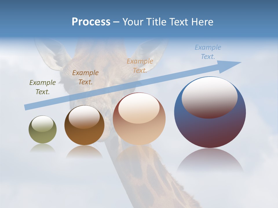 Close-Up Of A Funny Giraffe PowerPoint Template