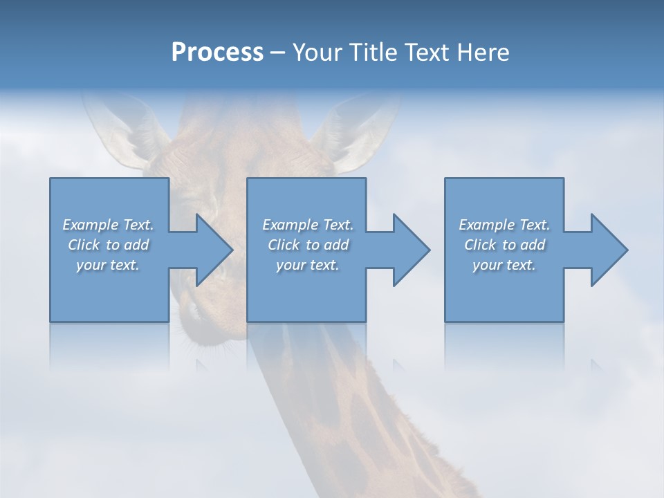 Close-Up Of A Funny Giraffe PowerPoint Template