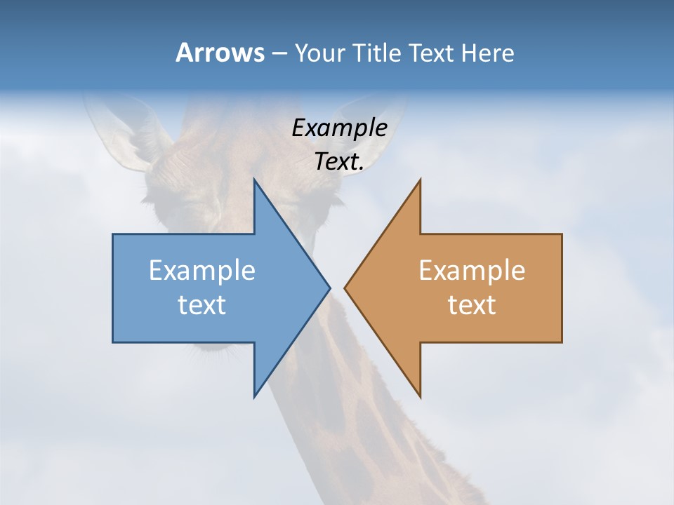 Close-Up Of A Funny Giraffe PowerPoint Template