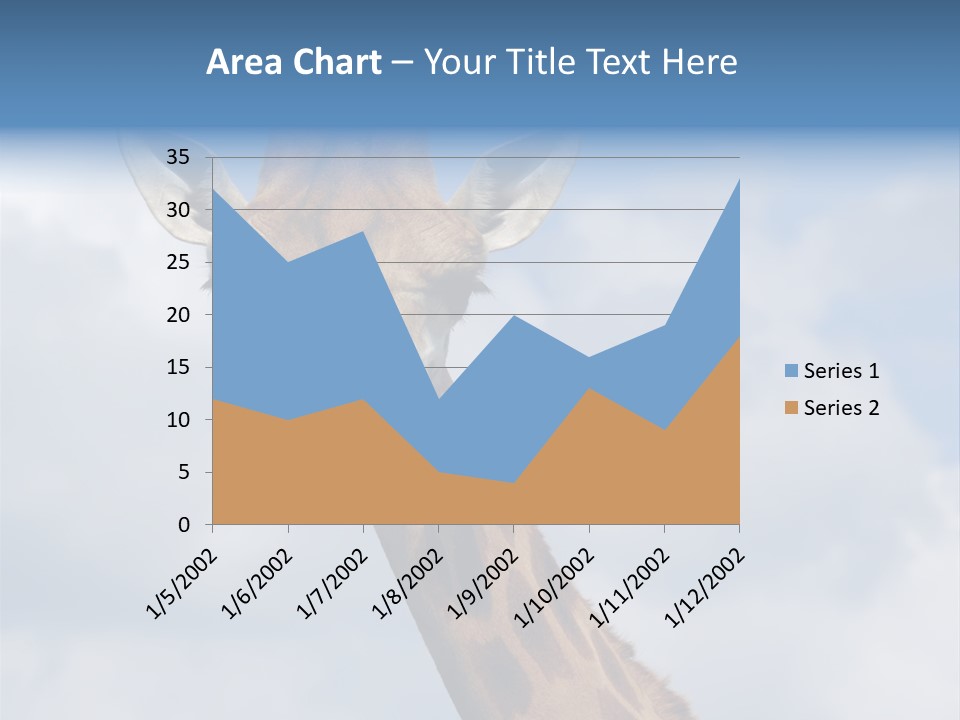 Close-Up Of A Funny Giraffe PowerPoint Template