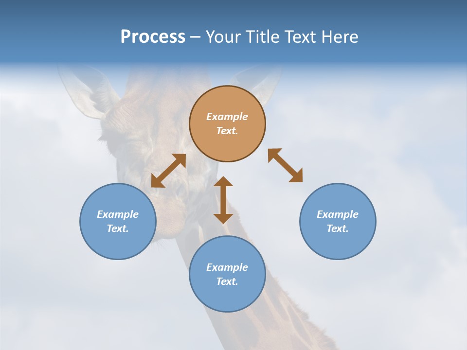 Close-Up Of A Funny Giraffe PowerPoint Template