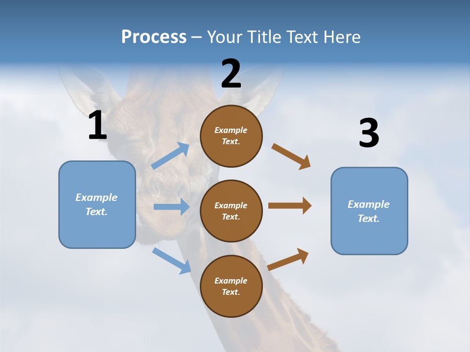 Close-Up Of A Funny Giraffe PowerPoint Template