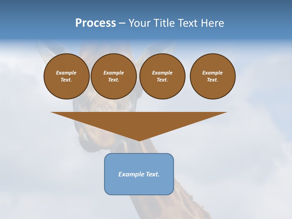 Close-Up Of A Funny Giraffe PowerPoint Template