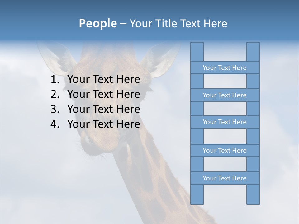 Close-Up Of A Funny Giraffe PowerPoint Template