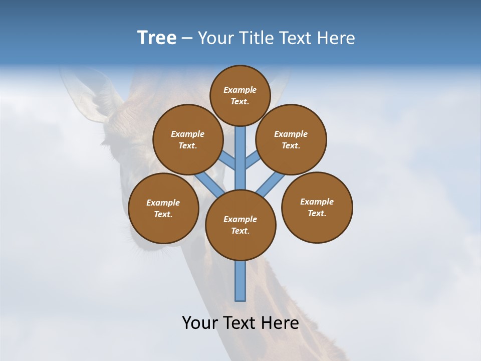 Close-Up Of A Funny Giraffe PowerPoint Template