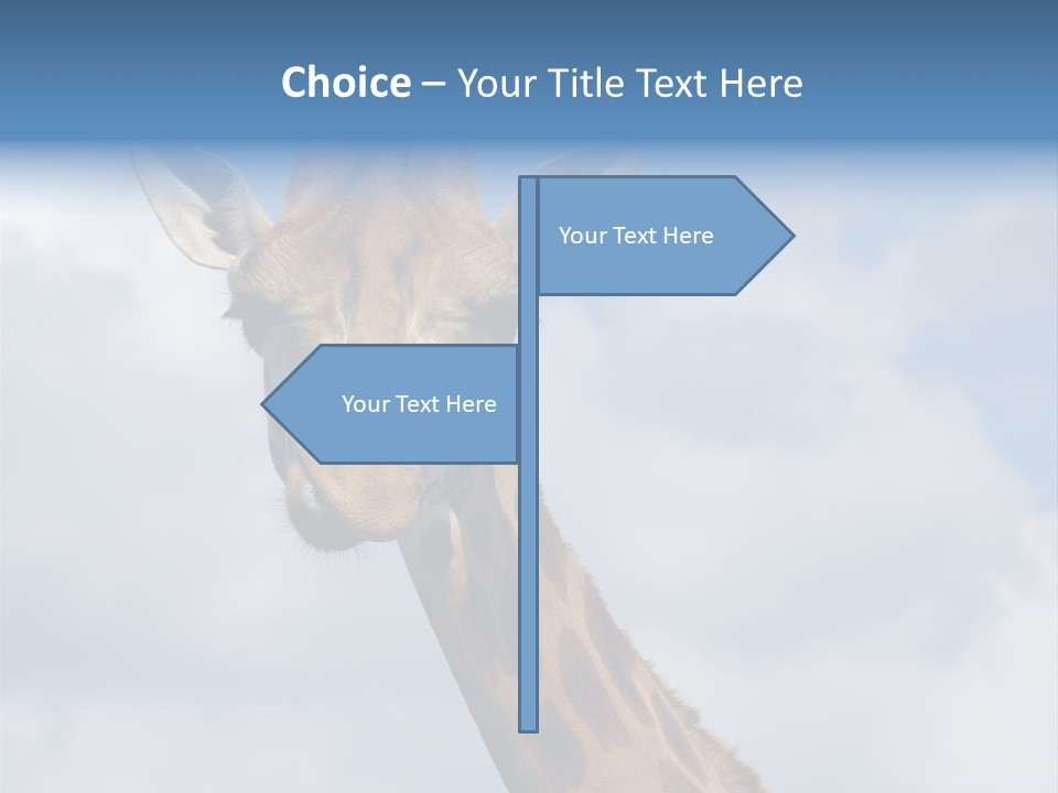 Close-Up Of A Funny Giraffe PowerPoint Template
