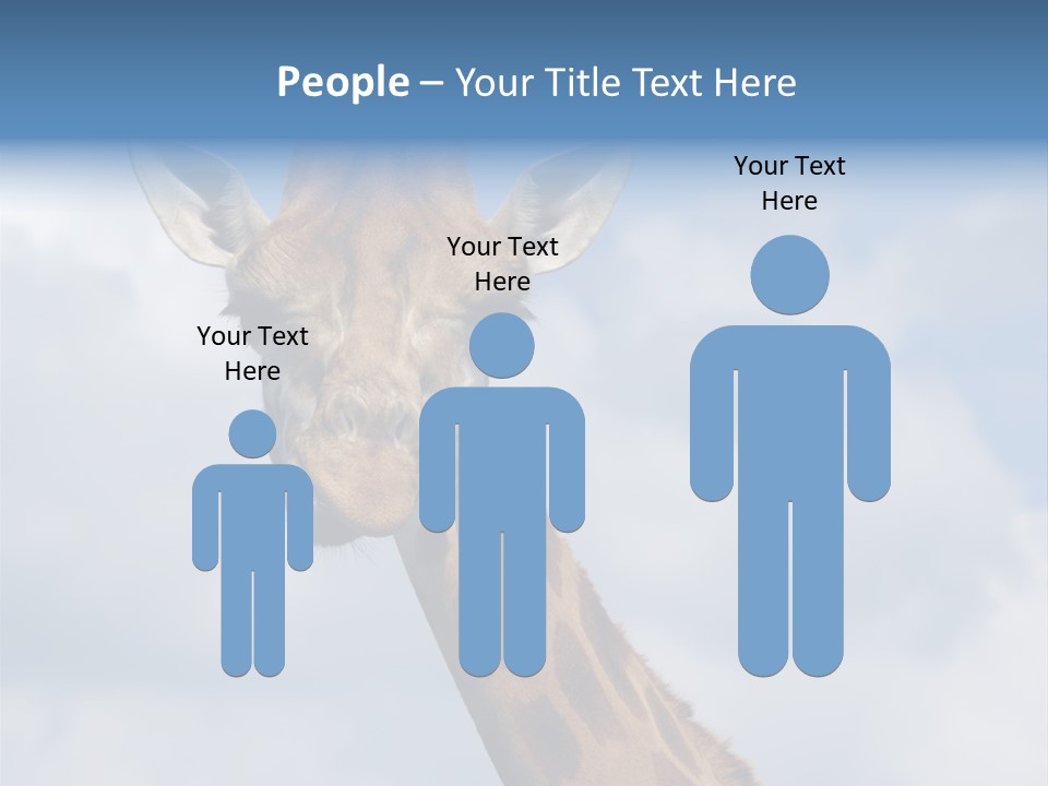 Close-Up Of A Funny Giraffe PowerPoint Template