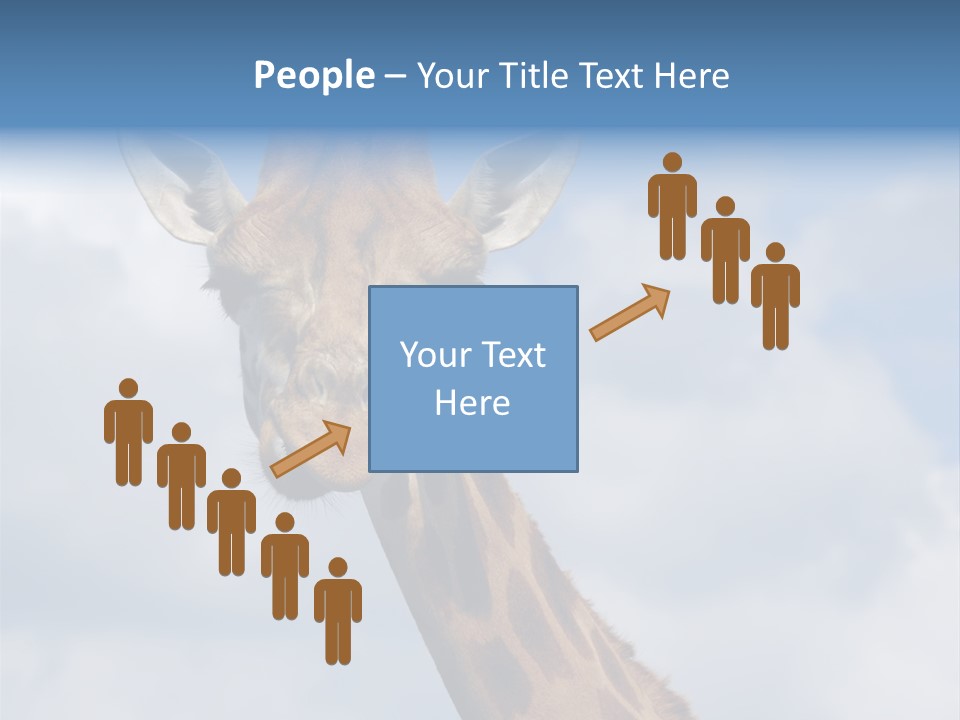 Close-Up Of A Funny Giraffe PowerPoint Template