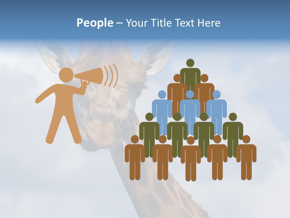 Close-Up Of A Funny Giraffe PowerPoint Template