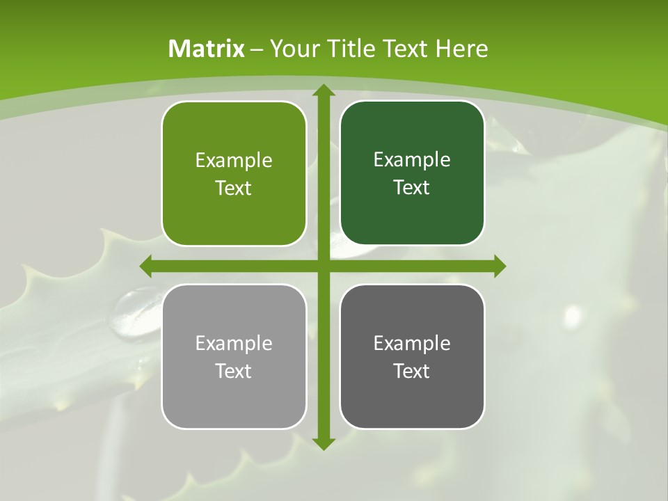 Aloe Vera PowerPoint Template