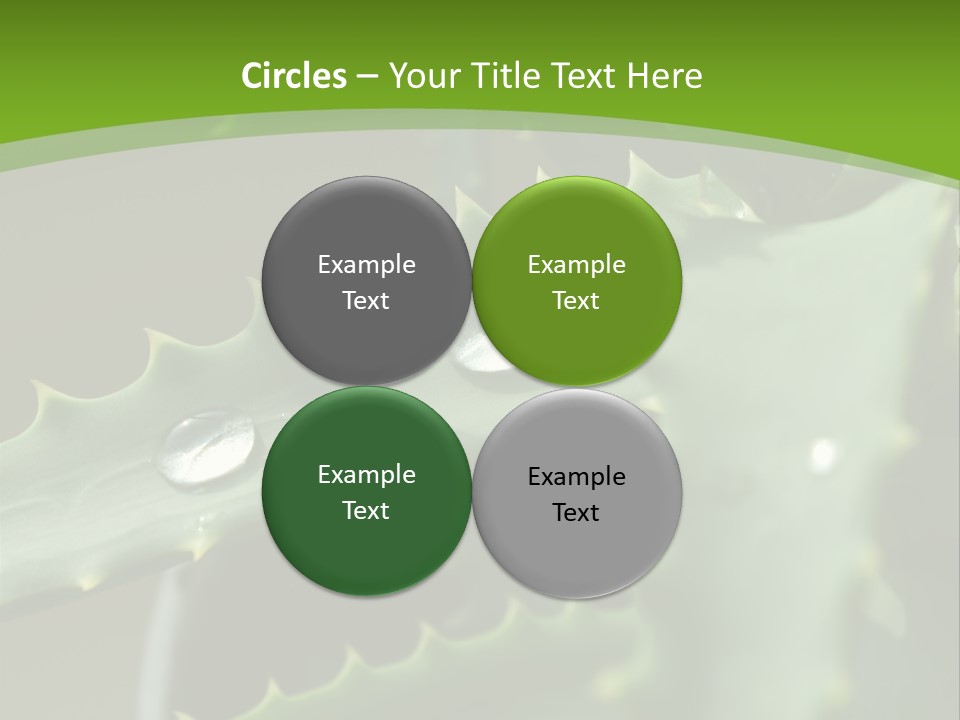 Aloe Vera PowerPoint Template