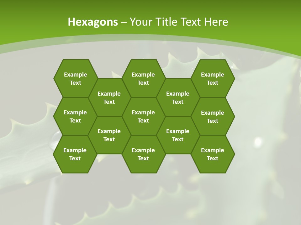 Aloe Vera PowerPoint Template