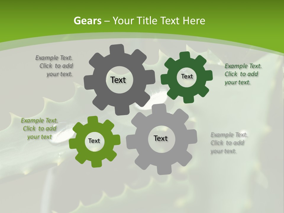 Aloe Vera PowerPoint Template