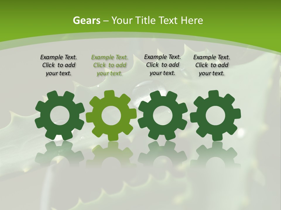 Aloe Vera PowerPoint Template