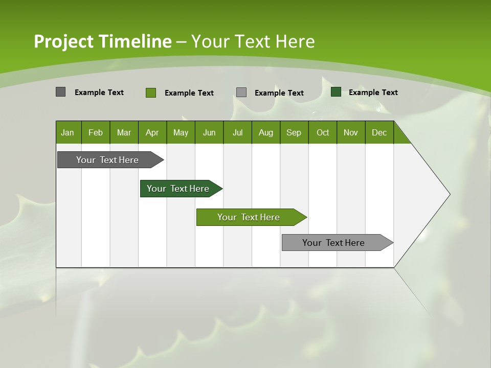 Aloe Vera PowerPoint Template