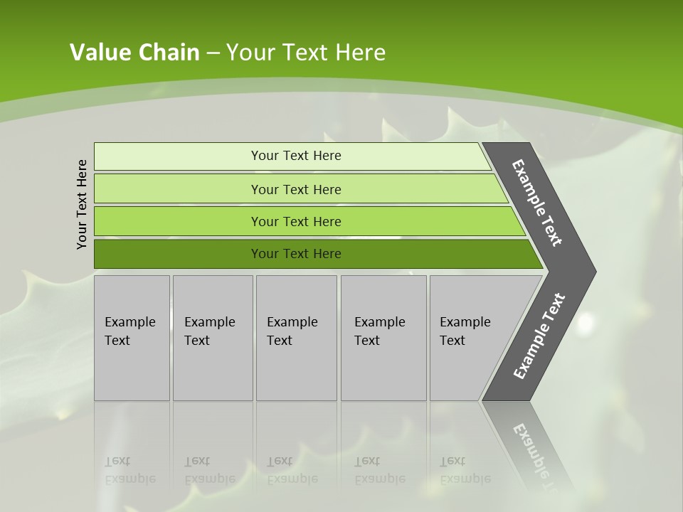 Aloe Vera PowerPoint Template