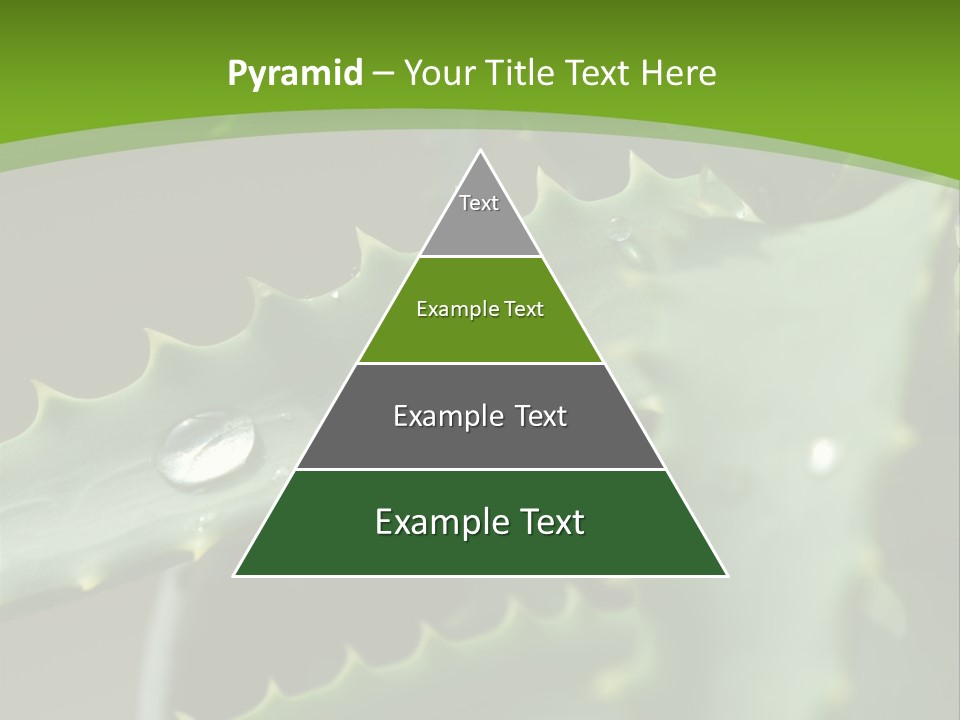 Aloe Vera PowerPoint Template
