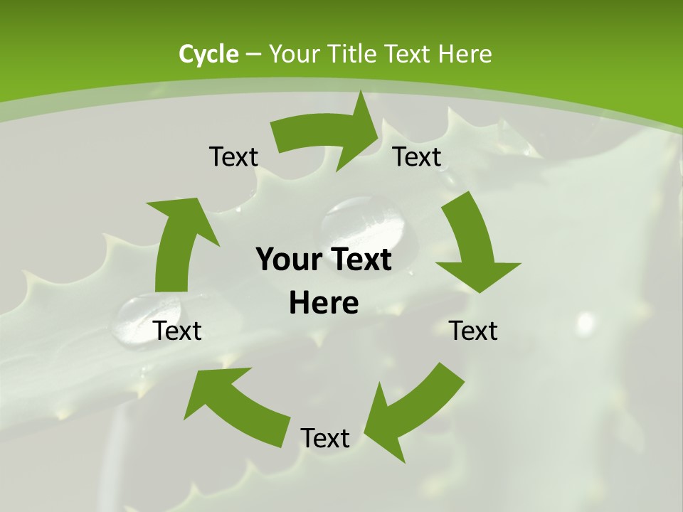 Aloe Vera PowerPoint Template