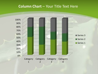 Aloe Vera PowerPoint Template