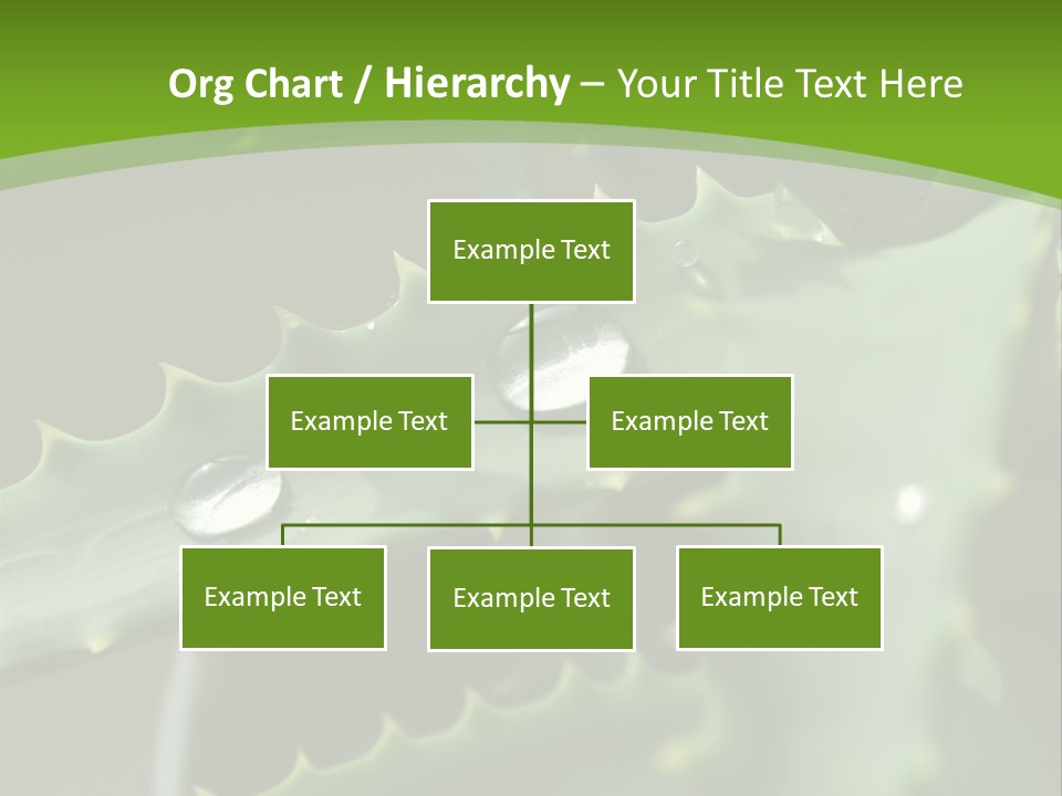 Aloe Vera PowerPoint Template