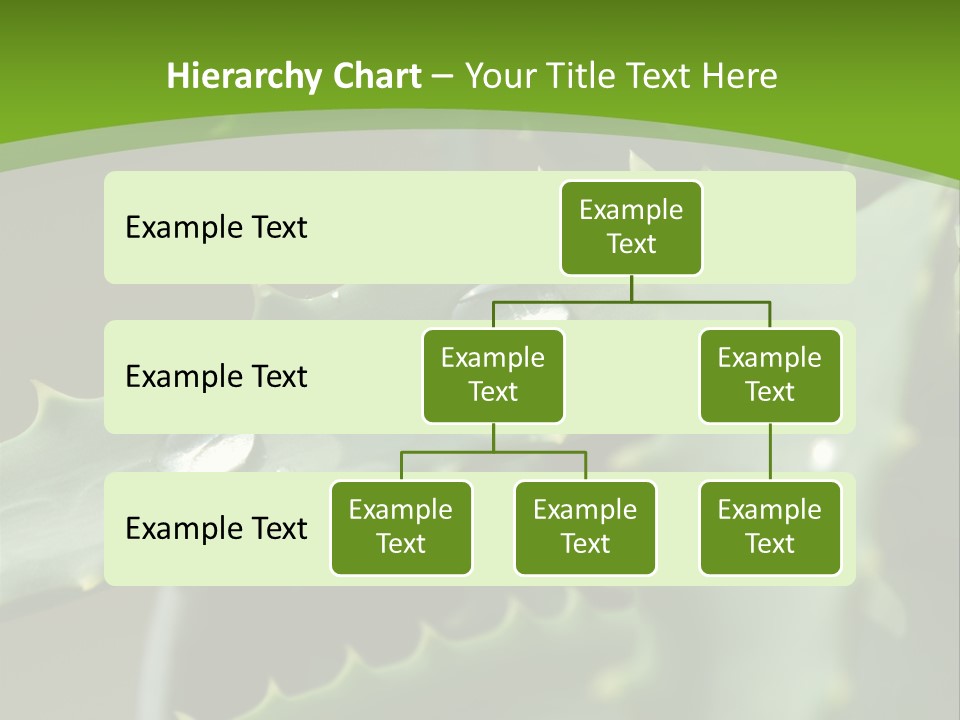 Aloe Vera PowerPoint Template