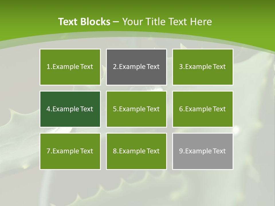 Aloe Vera PowerPoint Template