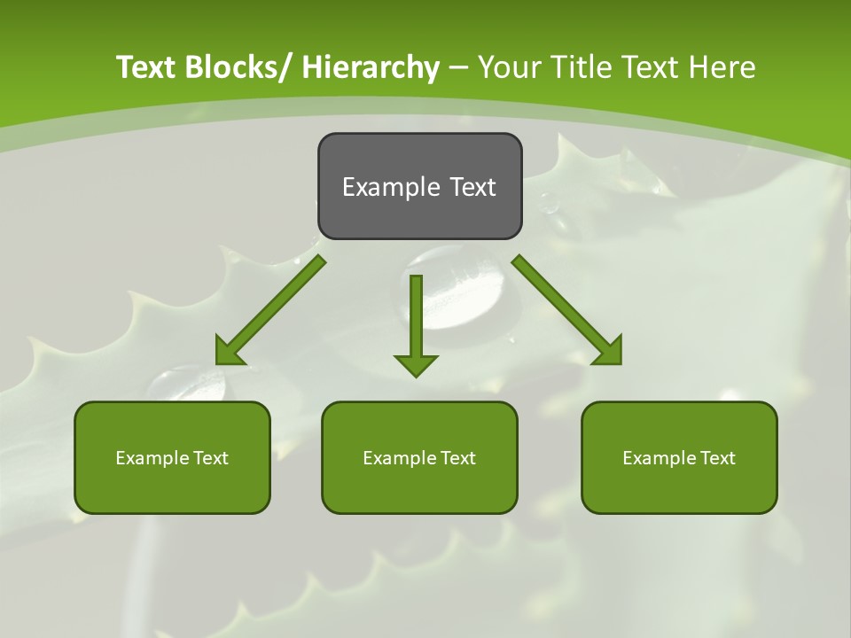 Aloe Vera PowerPoint Template