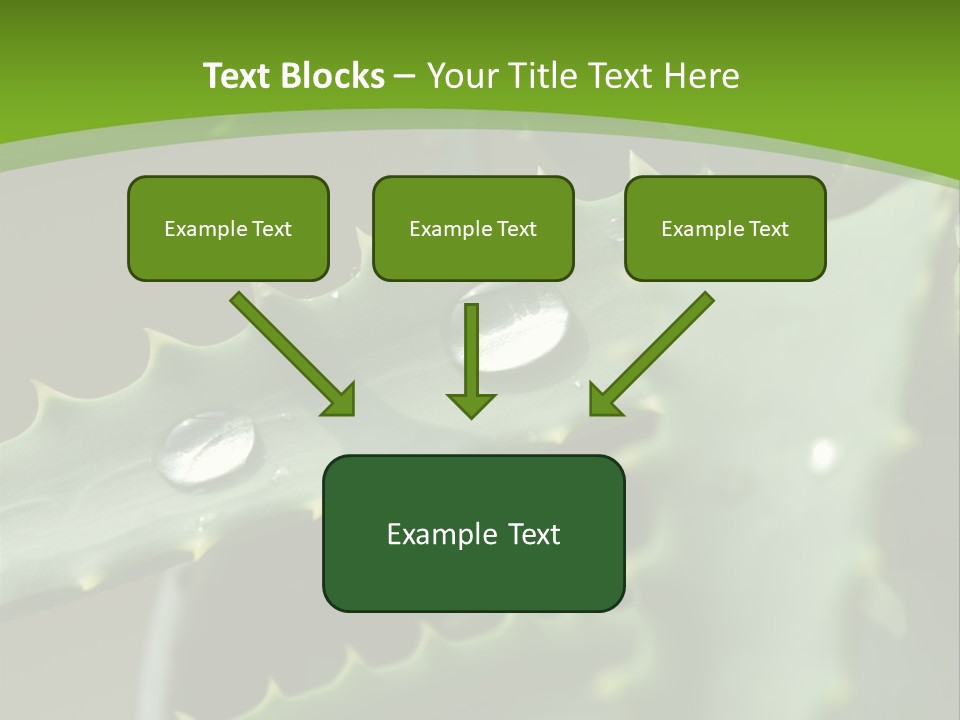 Aloe Vera PowerPoint Template